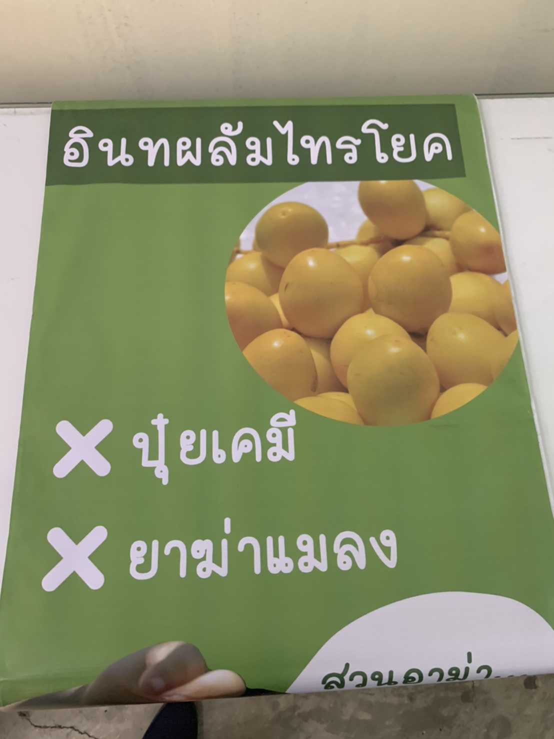 ภาพผลงานป้ายไวนิลราคาถูก : ไวนิลอิงค์เจ็ท อินทผาลัม