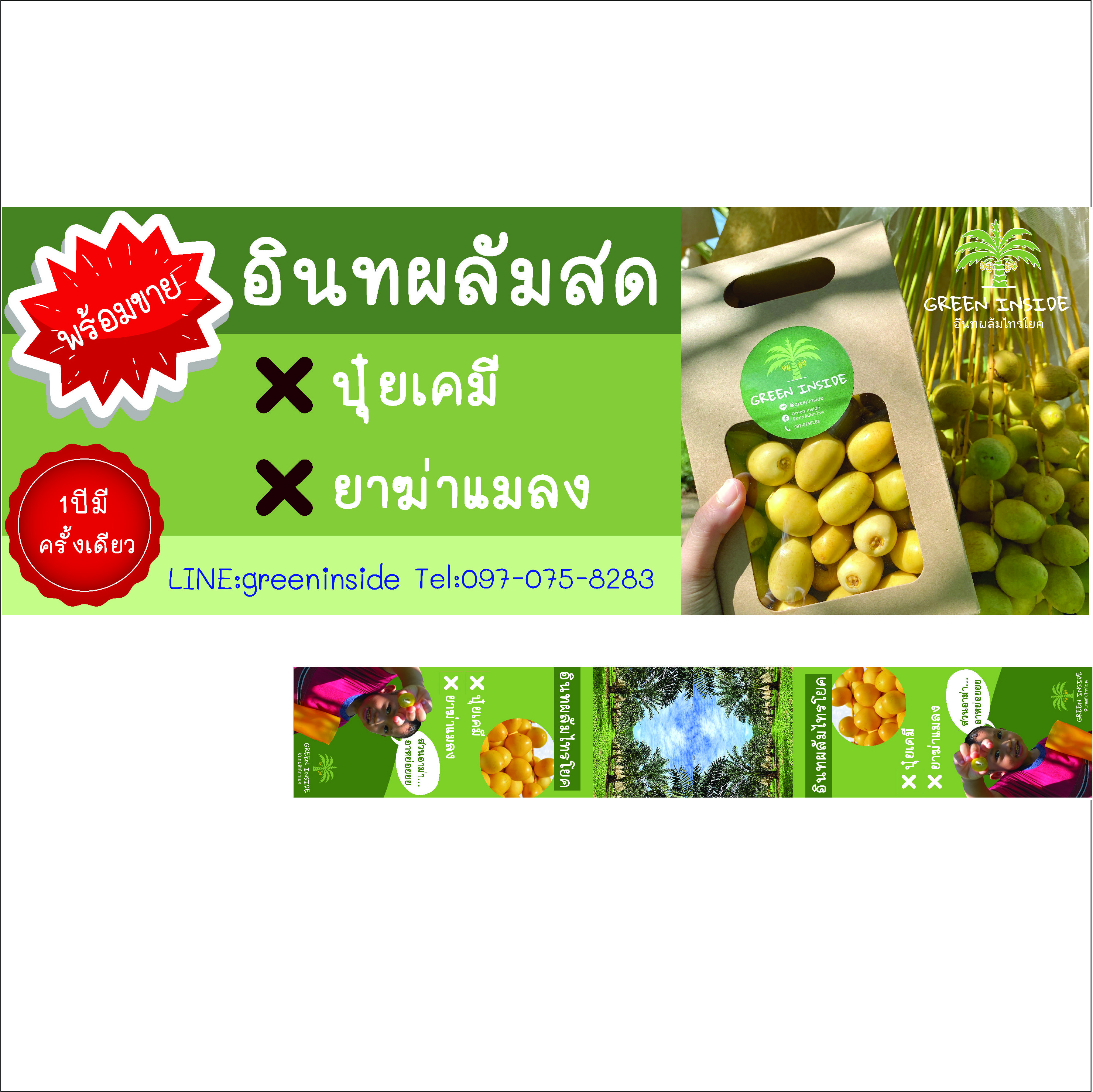 ภาพผลงานป้ายไวนิลราคาถูก : ไวนิลอิงค์เจ็ท อินทผาลัม